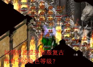 如何快速提升新服复古传奇中的角色等级? 如何快速提升新服复古传奇中的角色等级?