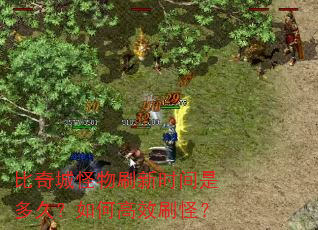 比奇城怪物刷新时间是多久?如何高效刷怪? 比奇城怪物刷新时间是多久?如何高效刷怪?