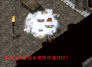 哪些玩家更适合使用夺魂封印? 哪些玩家更适合使用夺魂封印?
