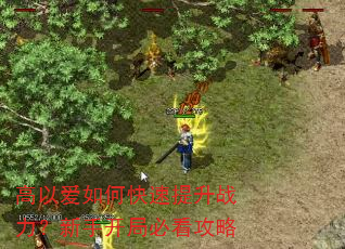 高以爱如何快速提升战力?新手开局必看攻略 高以爱如何快速提升战力?新手开局必看攻略