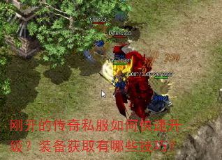 刚开的传奇私服如何快速升级?装备获取有哪些技巧? 刚开的传奇私服如何快速升级?装备获取有哪些技巧?