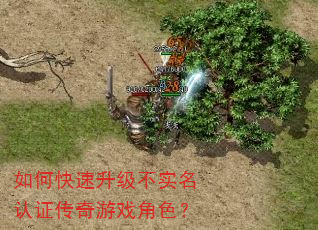 如何快速升级不实名认证传奇游戏角色? 如何快速升级不实名认证传奇游戏角色?