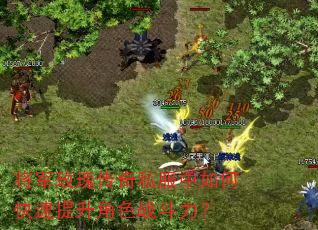 将军玫瑰传奇私服中如何快速提升角色战斗力? 将军玫瑰传奇私服中如何快速提升角色战斗力?