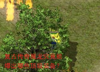 复古传奇魔龙究竟能爆出哪些顶级装备? 复古传奇魔龙究竟能爆出哪些顶级装备?