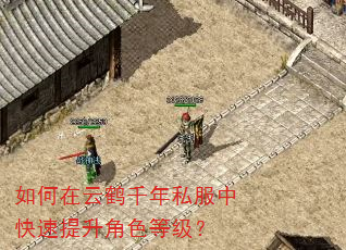 如何在云鹤千年私服中快速提升角色等级? 如何在云鹤千年私服中快速提升角色等级?