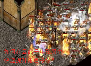 如何在云鹤千年私服中快速提升角色等级? 如何在云鹤千年私服中快速提升角色等级?