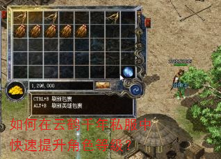 如何在云鹤千年私服中快速提升角色等级? 如何在云鹤千年私服中快速提升角色等级?