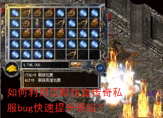 ������ó�Ĭ��Ѫ����˽��bug���������ȼ���