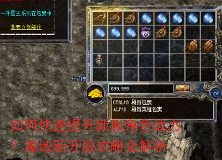 如何快速提升新服角色战力?魔域新开服攻略全解析 如何快速提升新服角色战力?魔域新开服攻略全解析