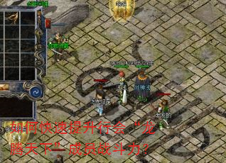 如何快速提升行会“龙腾天下”成员战斗力? 如何快速提升行会“龙腾天下”成员战斗力?