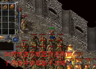 如何快速下载蓝月至尊甄子丹版并获取新手攻略? 如何快速下载蓝月至尊甄子丹版并获取新手攻略?