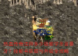 热血传奇法师多少级能学圣言暴牙?技能书获取与升级全攻略 热血传奇法师多少级能学圣言暴牙?技能书获取与升级全攻略