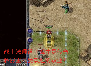 战士法师道士谁才是传奇私服里最受欢迎的职业? 战士法师道士谁才是传奇私服里最受欢迎的职业?