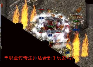 ��ְҵ���淨ʦ�ʺ����������
