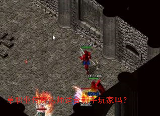��ְҵ���淨ʦ�ʺ����������