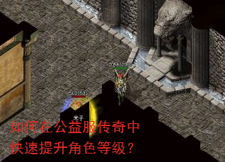 如何在公益服传奇中快速提升角色等级? 如何在公益服传奇中快速提升角色等级?
