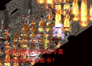 如何快速获取沉默专属版中的特殊技能书? 如何快速获取沉默专属版中的特殊技能书?