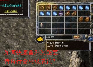 如何快速晋升为超变传奇行会高级成员? 如何快速晋升为超变传奇行会高级成员?
