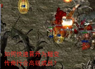 如何快速晋升为超变传奇行会高级成员? 如何快速晋升为超变传奇行会高级成员?