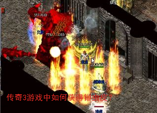 传奇3游戏中如何获得钳虫皮? 传奇3游戏中如何获得钳虫皮?