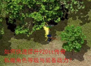 如何快速提升920tt传奇私服角色等级与装备战力? 如何快速提升920tt传奇私服角色等级与装备战力?