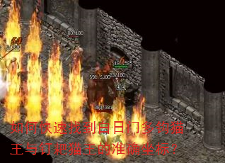 如何快速找到白日门多钩猫王与钉耙猫王的准确坐标? 如何快速找到白日门多钩猫王与钉耙猫王的准确坐标?