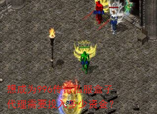���Ϊ996����˽�����Ӵ�����ҪͶ������ʽ�