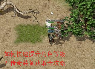 如何快速提升角色等级?传奇装备获取全攻略 如何快速提升角色等级?传奇装备获取全攻略