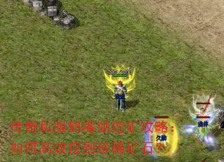 传奇私服鹤嘴锄挖矿攻略:如何高效挖到珍稀矿石? 传奇私服鹤嘴锄挖矿攻略:如何高效挖到珍稀矿石?