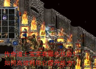 传奇道士宝宝有哪些优势?如何高效利用它提升战力? 传奇道士宝宝有哪些优势?如何高效利用它提升战力?