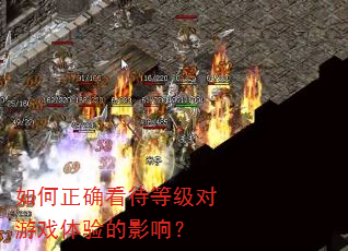 如何正确看待等级对游戏体验的影响? 如何正确看待等级对游戏体验的影响?