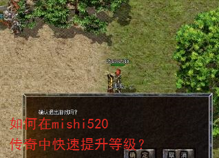 如何在mishi520传奇中快速提升等级? 如何在mishi520传奇中快速提升等级?