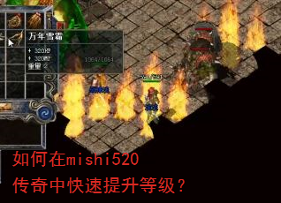 如何在mishi520传奇中快速提升等级? 如何在mishi520传奇中快速提升等级?