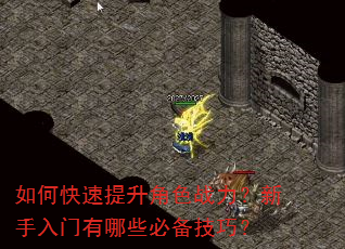 如何快速提升角色战力?新手入门有哪些必备技巧? 如何快速提升角色战力?新手入门有哪些必备技巧?