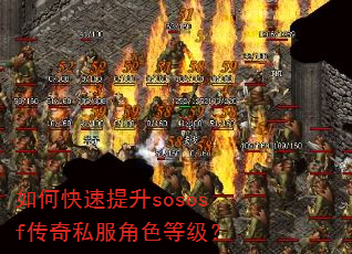 如何快速提升sososf传奇私服角色等级? 如何快速提升sososf传奇私服角色等级?