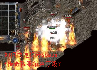 如何快速提升sososf传奇私服角色等级? 如何快速提升sososf传奇私服角色等级?