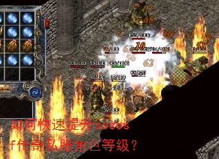 如何快速提升sososf传奇私服角色等级? 如何快速提升sososf传奇私服角色等级?
