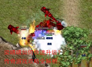 梁晴晴如何快速升级?传奇游戏攻略全解析 梁晴晴如何快速升级?传奇游戏攻略全解析