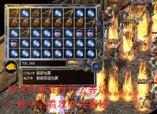 如何快速提升行会等级?新手必看攻略大揭秘 如何快速提升行会等级?新手必看攻略大揭秘