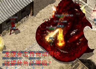 龙版合击传奇如何快速提升角色等级? 龙版合击传奇如何快速提升角色等级?