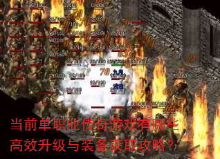 当前单职业传奇游戏有哪些高效升级与装备获取攻略? 当前单职业传奇游戏有哪些高效升级与装备获取攻略?