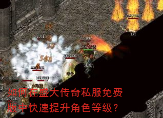 如何在盛大传奇私服免费版中快速提升角色等级? 如何在盛大传奇私服免费版中快速提升角色等级?