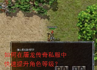 如何在屠龙传奇私服中快速提升角色等级? 如何在屠龙传奇私服中快速提升角色等级?