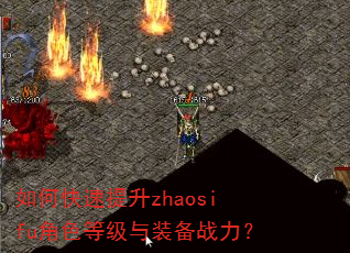 如何快速提升zhaosifu角色等级与装备战力? 如何快速提升zhaosifu角色等级与装备战力?