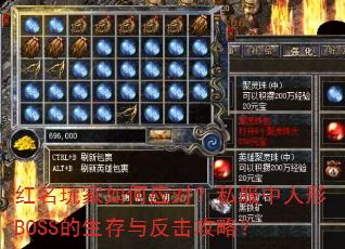 红名玩家如何应对?私服中人形BOSS的生存与反击攻略? 红名玩家如何应对?私服中人形BOSS的生存与反击攻略?