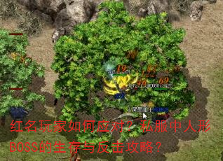 红名玩家如何应对?私服中人形BOSS的生存与反击攻略? 红名玩家如何应对?私服中人形BOSS的生存与反击攻略?
