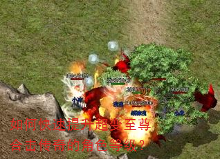 如何快速提升超变至尊合击传奇的角色等级? 如何快速提升超变至尊合击传奇的角色等级?