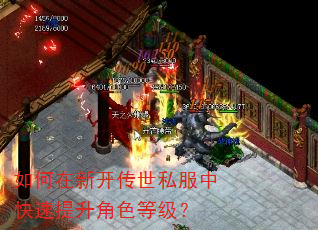 如何在新开传世私服中快速提升角色等级? 如何在新开传世私服中快速提升角色等级?