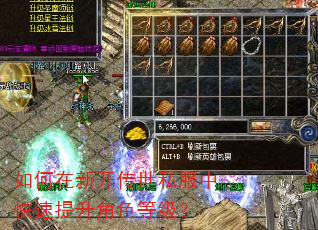 如何在新开传世私服中快速提升角色等级? 如何在新开传世私服中快速提升角色等级?