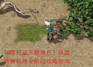 ��δ����޵н�ɫ����Ѫ����˽��ȫ�׶ι���ָ��